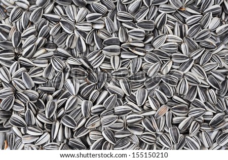 organic sunflower seed for background uses Royalty-Free Stock Photo #155150210