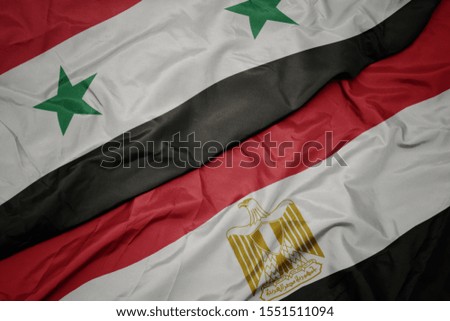 waving colorful flag of egypt and national flag of syria. macro