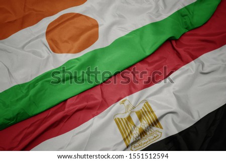 waving colorful flag of egypt and national flag of niger. macro