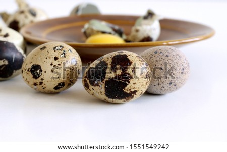 Isolated quail eggs on white background. Food concept.Quail eggs are smaller than chicken, yet they have 2.5 times more vitamin A.