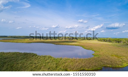 Aerial view of typical Pantanal landscape with lagoon, meadows, forest and blue sky, Pantanal Wetlands, Mato Grosso, Brazil
