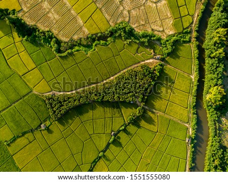 Above golden paddy field during harvest season. Beautiful field sown with agricultural crops and photographed from above.
top view agricultural landscape areas the green and yellow rice fields. Royalty-Free Stock Photo #1551555080