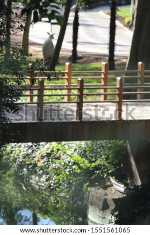 wooden fence on the bridge above the creek