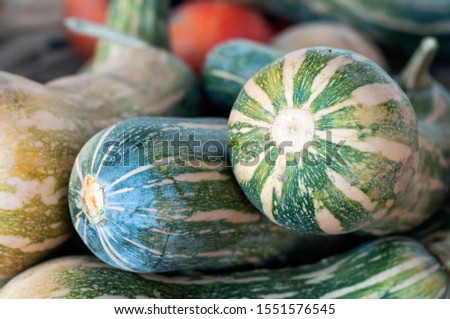 Closeup of various pumpkins in a farm