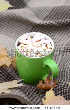 Autumn leaves and hot steaming cup of coffee lies on checkered plaid outdoors