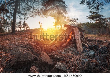 bonfire in a pine forest on a background of sunset and shovels