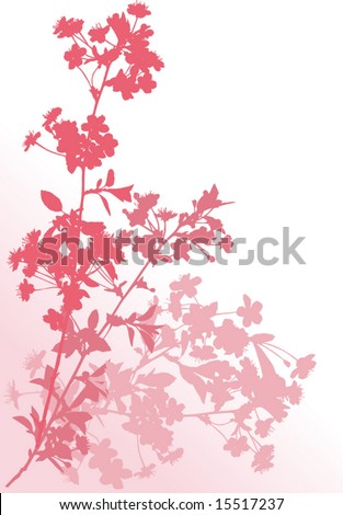 illustration with cherry tree flowers silhouette on white background