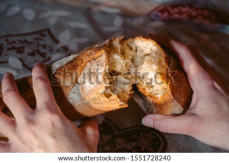 Female hands close-up breaking fresh baguette bread. Warm old french room in background. Hands tearing apart loaf. Royalty-Free Stock Photo #1551728240