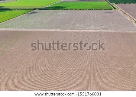 Oblique aerial view of sandalwood plantation in the Ord River Irrigation scheme at Kununurra in the Kimberley