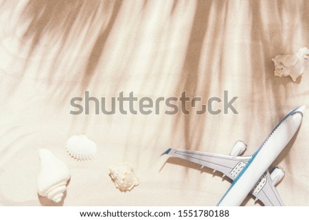 Top view of traveler background on tropical sand, shells and airplane. Background for summer holiday vacation travel trip with palm shadows. Flat lay, copy space