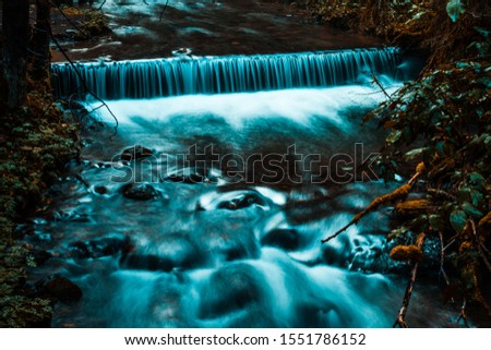 Photo of a waterfall inside a forest.