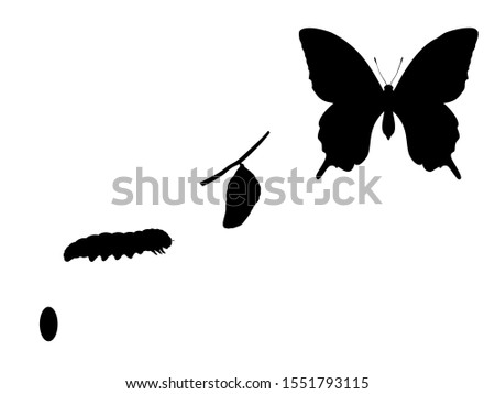 Butterfly birth. Silhouettes butterfly caterpillar and cocoon. Vector illustrator