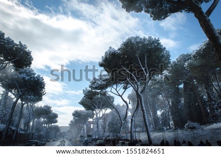 Roman street in winter snowing and pine trees