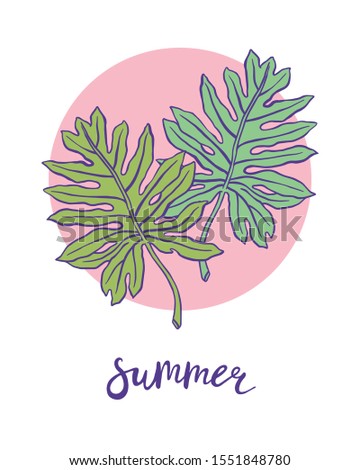 Summer. Hand drawn tropical leaves. Vector illustration for creative design of banners, posters, cards, etc.