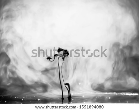Ink in water. Black-white background from ink under water. Unusual abstract picture. Inverted image.