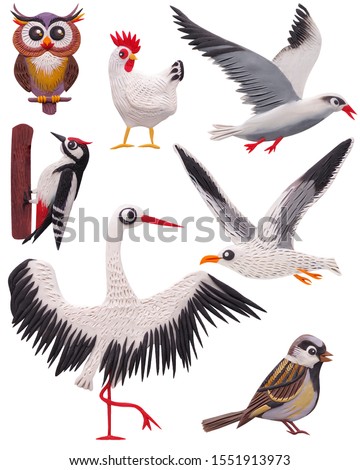 
Set of birds, different types on a white background