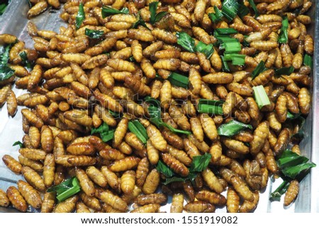 Fried crispy insects. Exotic and amazing Asian food. Fried worms and locust. traditional Local street food in Thailand.