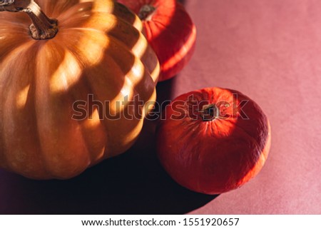 Stock photo of a pumpkin on a brown background with place for text. Varietal seasonal pumpkins.