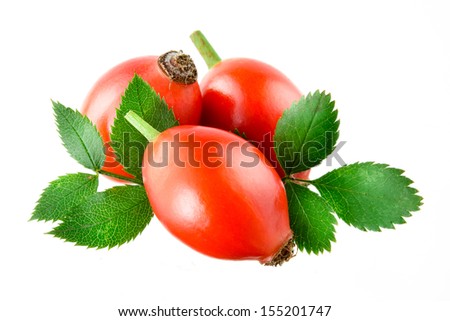 Rose hip isolated on a white background.