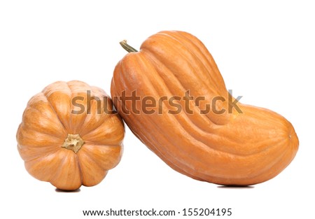 Two fresh pumpkins. Isolated on a white background.