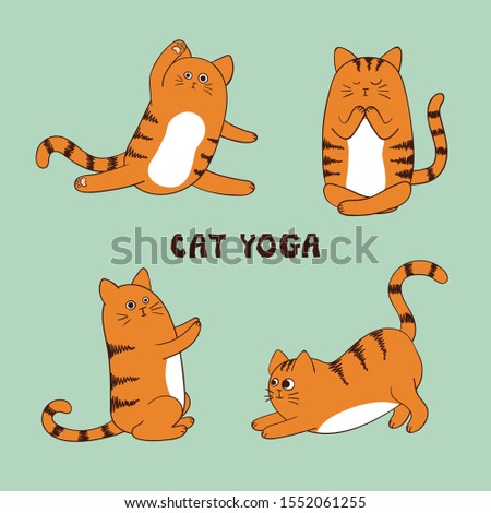 Cartoon funny yoga cat vector illustration. Animal fitness set for kids.