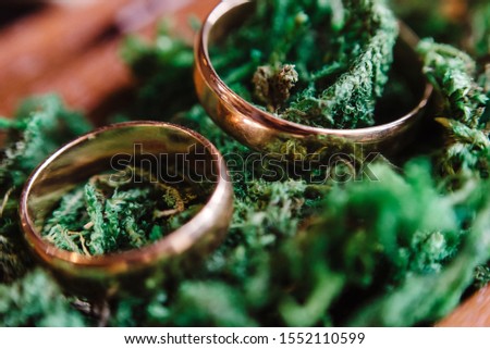 Two gold wedding rings on green moss background, closeup.  film noise