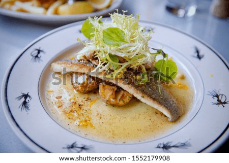 Halibut Fish Fillet gourmet and vegetables