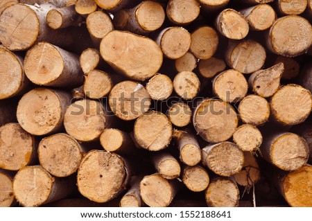 Round Wooden Stacked Background of Wood 