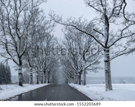 a beautiful winter picture with a snowy alley
