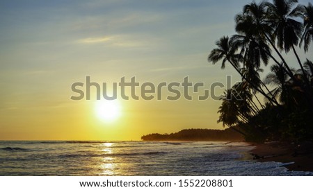 Beautiful tropical sunset beach view over the Pacific Ocean with palm trees silhouette, warm tones of the natural environment and reflection over the water while ocean waves cover the sandy beach.  