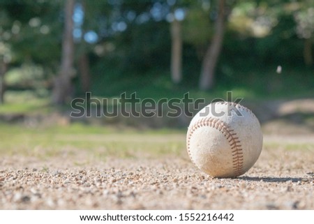 Baseball at park in autumn