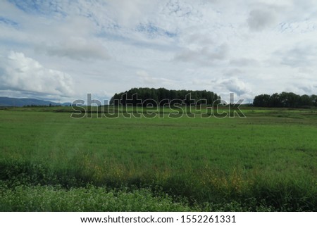 Autumn countryside field in Hokkaido, Japan