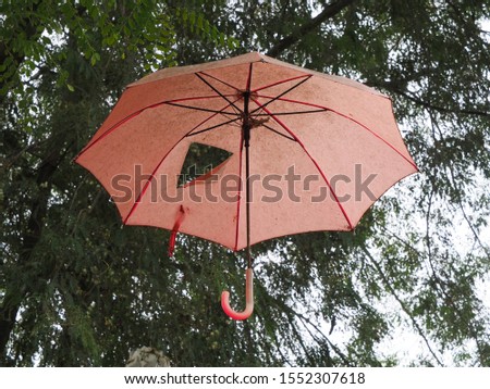 Old dirty and torn with hole umbrella was hanging on the tree. Vintage interior decoration design. Abstract concept.  Royalty-Free Stock Photo #1552307618