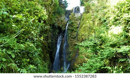 Waterfall in the tropical jungle
