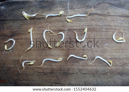 Sprouts on the wood to form the words 'I love you' - image