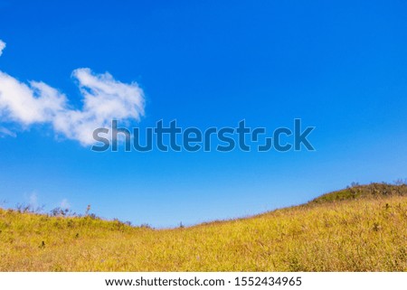 Blue sky and Yellow field with white clouds.landscape picture In Thailand.The Mountain name“Doi Luang” in Tak Province Thailand. 