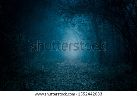 Mysterious pathway. Footpath in the dark, foggy, autumnal, misty forest.