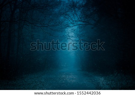 Blue toned mysterious road through forest among high trees. Footpath in the dark, foggy, autumnal, misty forest.