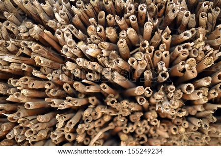 Close-up texture of the cut-ends of dry reed composing the traditional roof of a building from Danube Delta village