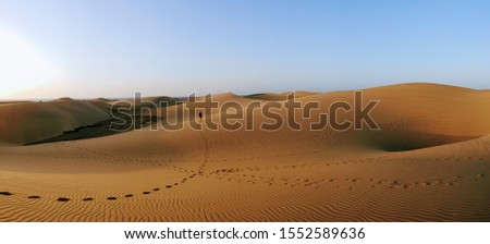 A man walking over the dune in the desert, in famous natural Maspalomas national park at dawn. Gran Canaria. Spain
