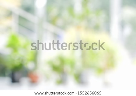 BLURRED OFFICE BACKGROUND, MODERN LIGHT INTERIOR WITH GREEN FLOWERS