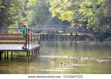 Two children boy and girl standing on wooden deck on a lake shore feeding ducks