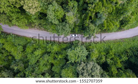 Aerial top view car driving through the forest on country road, view from drone