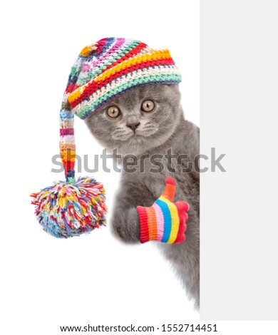 Cat wearing a warm hat with pompon peeks behind empty banner and shows thumbs up. isolated on white background