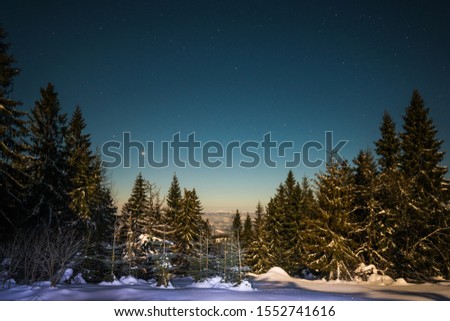 Bewitching magical landscape of snowy tall fir trees growing among snowdrifts on the hills against a blue starry night sky. Concept of a beautiful night forest. Copyspace