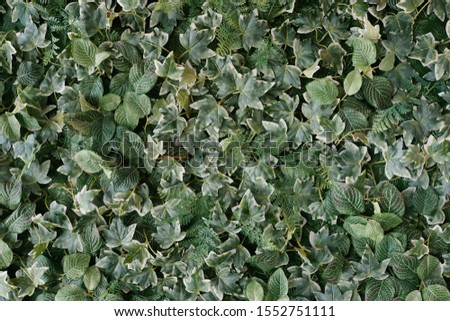Green artificial leaves background, closeup leaves texture,