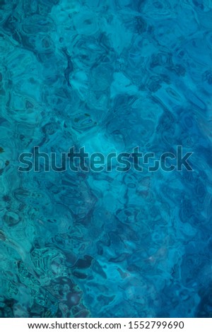 Coral reef in the red sea on sunny day