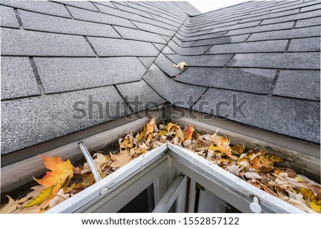 gutters are full of fall leaves and must be cleared Royalty-Free Stock Photo #1552857122