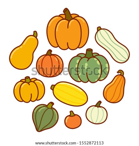 Cartoon drawing of different types of pumpkin and squash. Autumn harvest vegetables, vector hand drawn doodle style illustration.