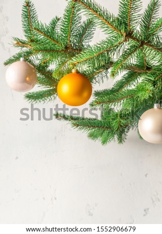 Christmas tree branch with decoration